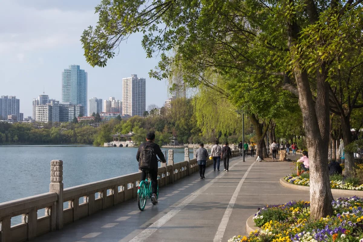 A tree-lined lakeside promenade in central Kunming.